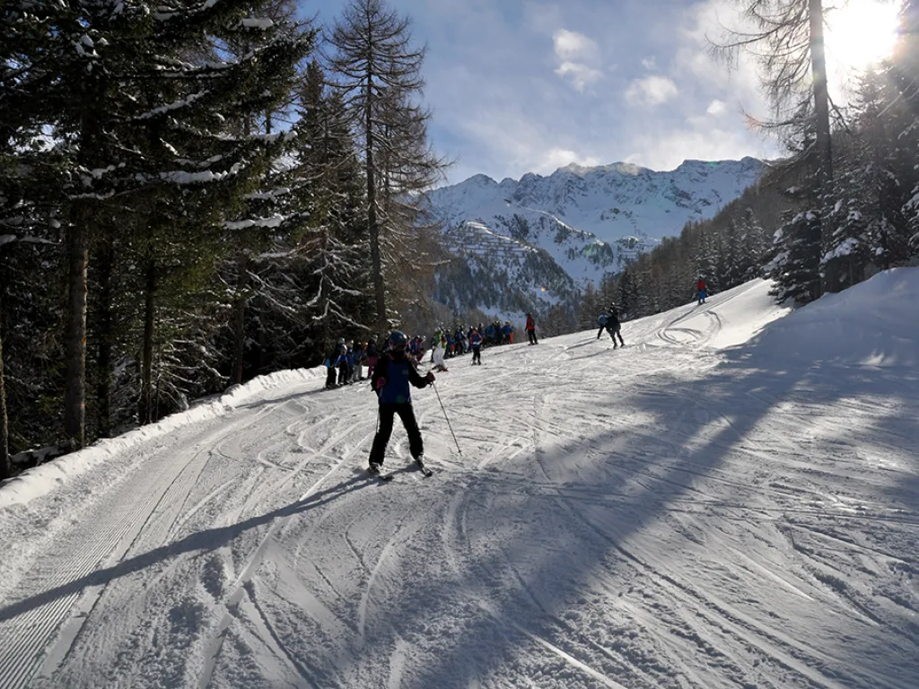 Skifahrende auf einer Waldpiste vor Bergpanorama.